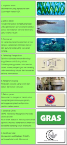Spirulina Pacifica