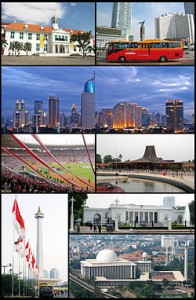 agen penjual jelly gamat luxor jakarta