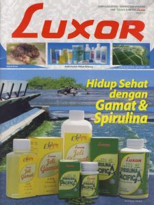 kontak pembelian jelly gamat luxor dan spirulina pacifica